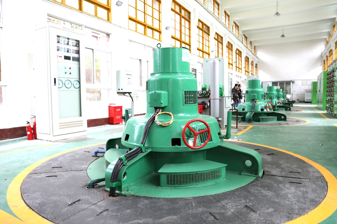 Çevre dostu enerji üretimi paslanmaz çelik koşucu Kaplan Su türbini hidro jeneratörü 100-1500r/min nominal hızı ile