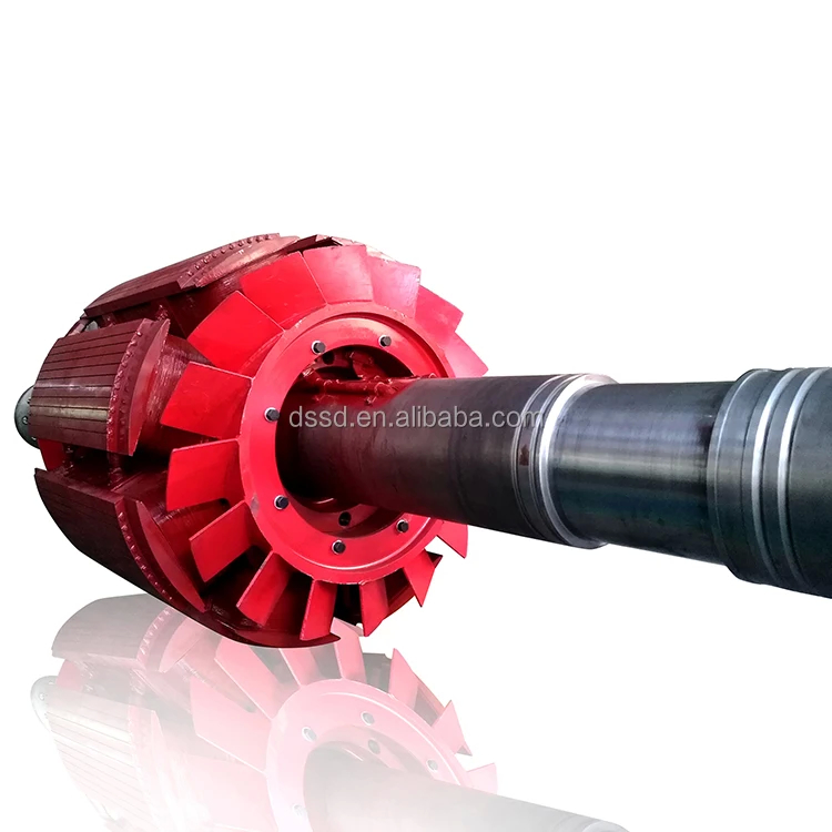 450 - 1000 rpm Su türbini jeneratörü Dikey/Yatay Kurulum 220V-690V Voltaj