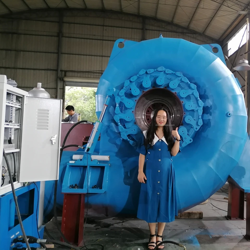 50Hz/60Hz frekanslı ve ayarlanabilir nominal voltajlı 300KW-20MW Francis Turbine Jeneratörü