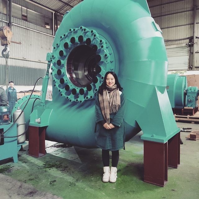 Özel Renkli Su Türbini Jeneratörü 200KW-20MW 50/60Hz Otomatik / El Kontrolü