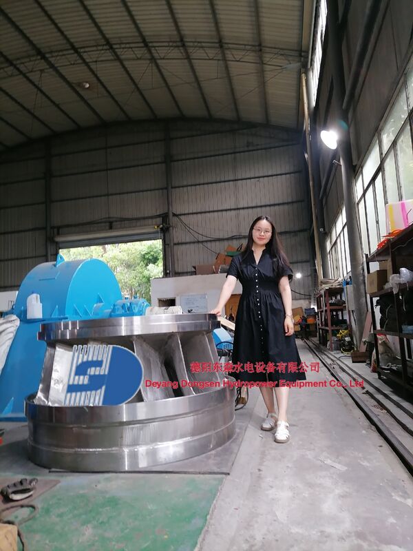 50 Hz veya 60 Hz hidroelektrik santralleri için 300kW'dan 20 MW'a kadar güç çıkışı ve otomatik vali kontrolü olan Francis Turbine Generator