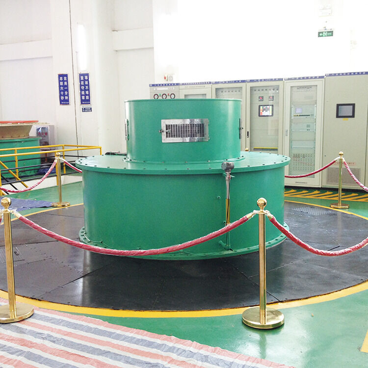 Birkaç MW'a kadar Pelton Tipi Turbin Jeneratörü Hidroelektrik Enerji Sistemleri için Özel Renk Yeşil ve Mavi Seçenekler