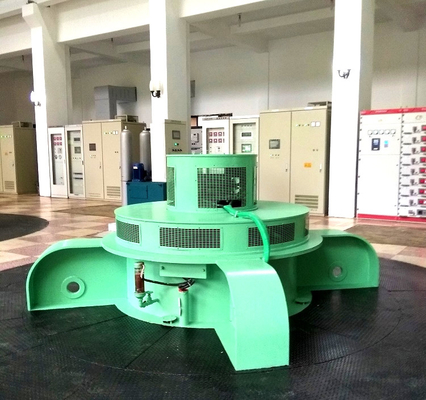 500kw 700kw 1200kw Küçük Kaplan Hidro Türbin Jeneratörü Özelleştirilmiş Santral Kullanımı